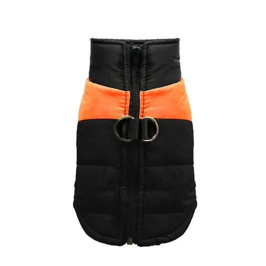 Vêtement chien orange S–5XL